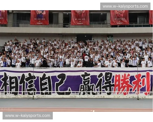 昔日劲旅的荣光与黯淡：辽宁与天津泰达的足球情缘